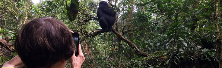 gorilla-trekking rwanda