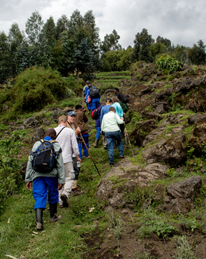 Mount Karisimbi Hiking rwanda