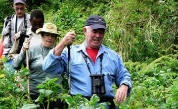 gorilla safari in rwanda