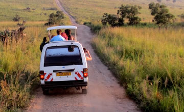 Uganda wildlife safari