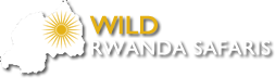 Wild Rwanda Safaris