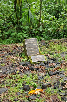 Dain Fossey tomb