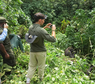 gorilla trekking in Rwanda