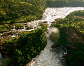 Murchison falls