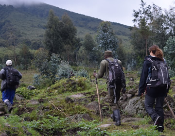 Mount Karisimbi Hiking rwanda