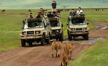 widlife viewing in Queen Elizabeth national park