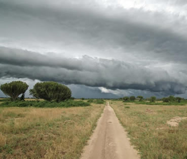 akagera national park