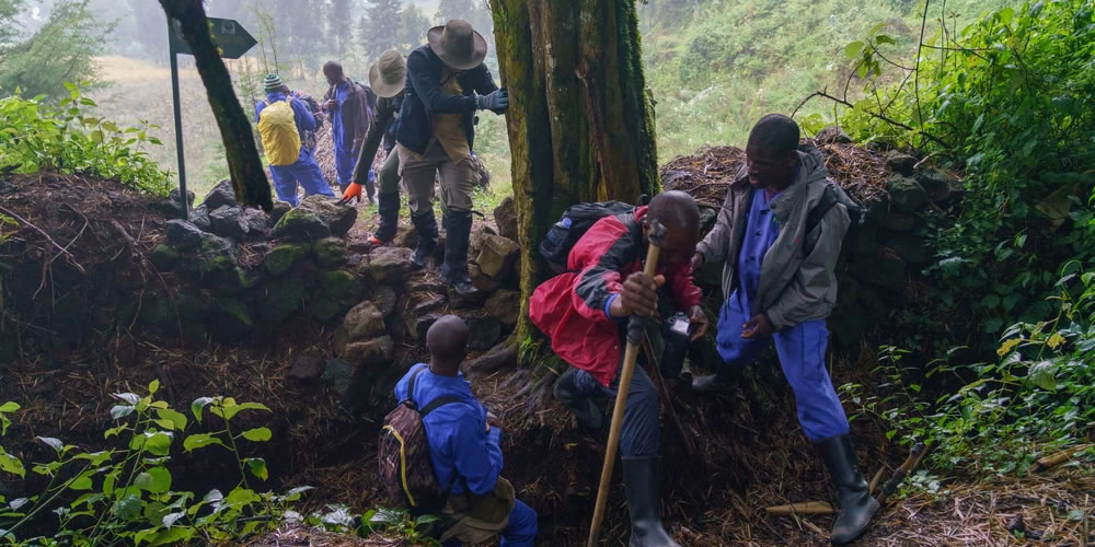 cost of gorilla trekking in Rwanda